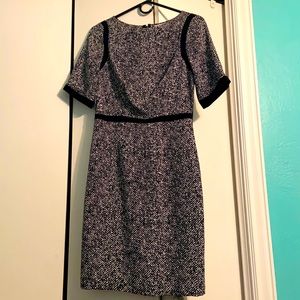 The Limited SCANDAL collection